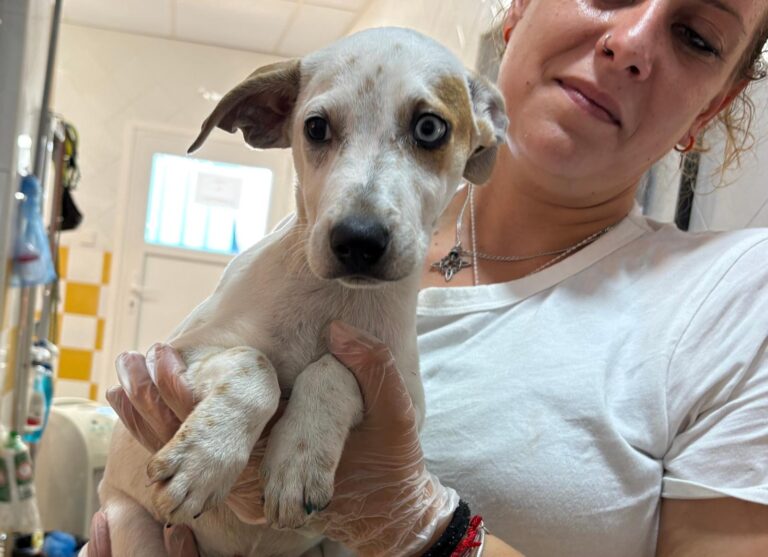 multimedia-foto95579-55-1