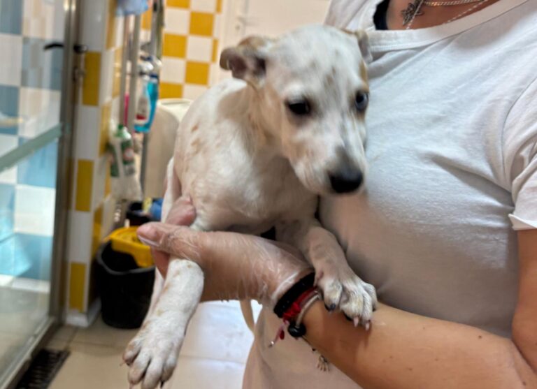 multimedia-foto95580-56-1