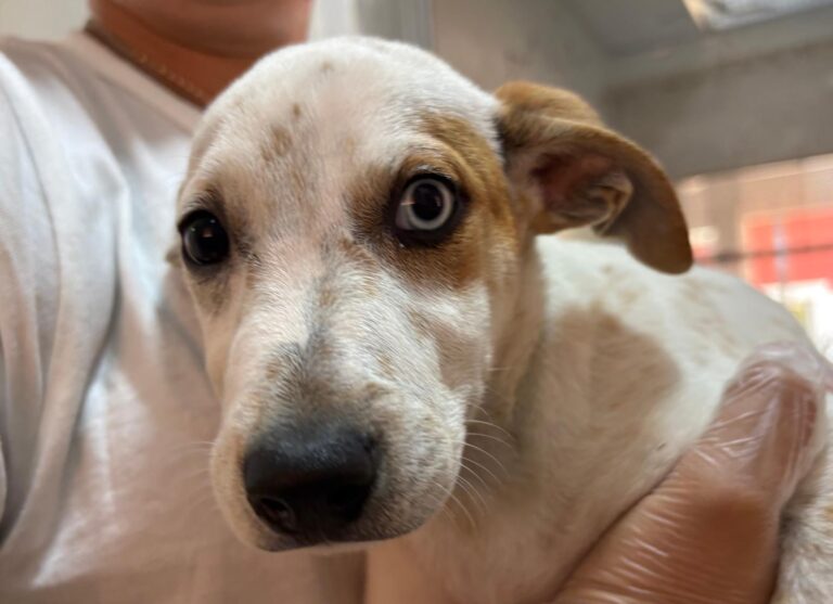 multimedia-foto95582-56-1