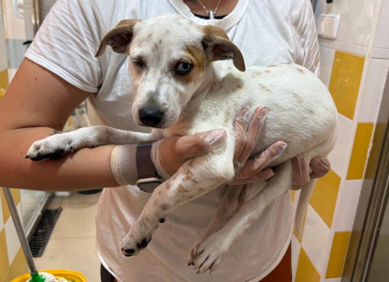 multimedia-foto95583-56-1