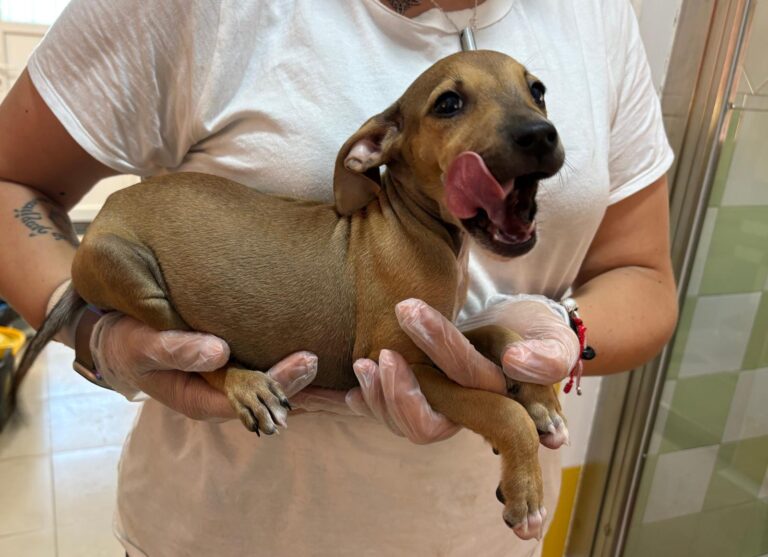 multimedia-foto95584-143-1