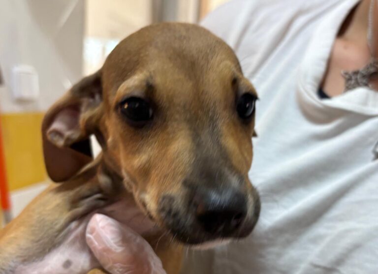 multimedia-foto95585-143-1