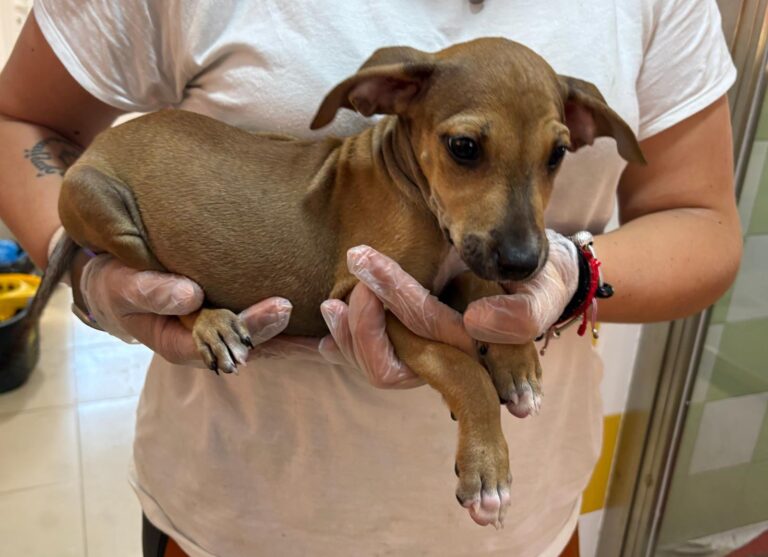 multimedia-foto95588-144-1