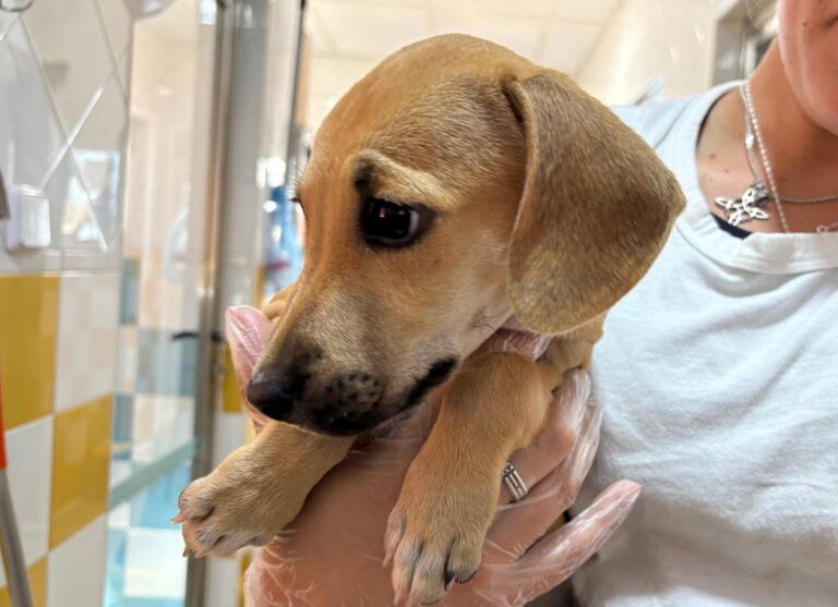 multimedia-foto95596-325-1