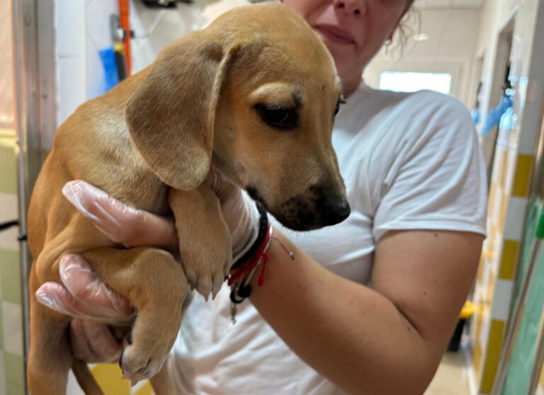 multimedia-foto95597-325-1