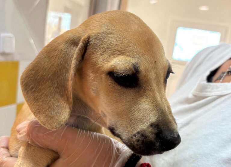 multimedia-foto95598-326-1