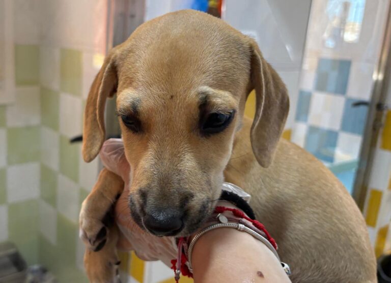 multimedia-foto95599-326-1