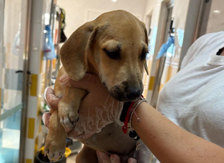 multimedia-foto95600-326-1