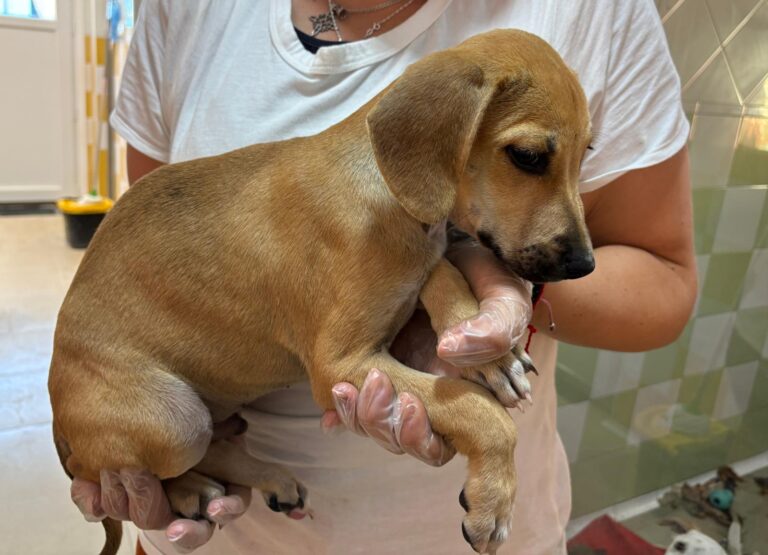 multimedia-foto95601-326-1