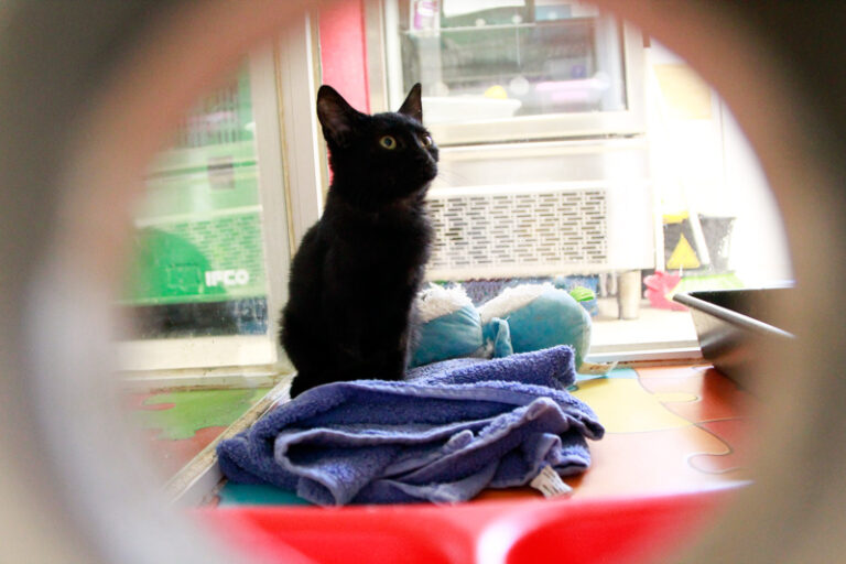 multimedia-foto95609-955-1