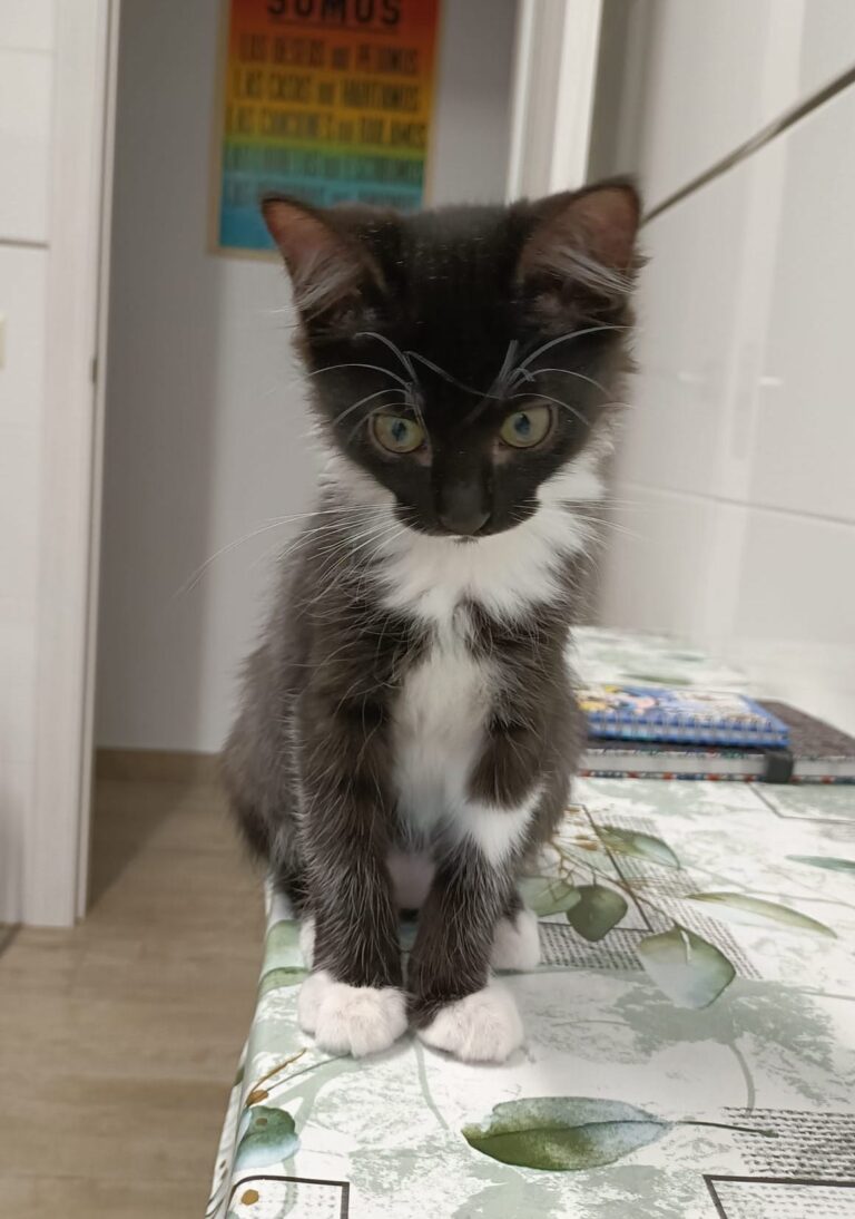 multimedia-foto95622-749-1