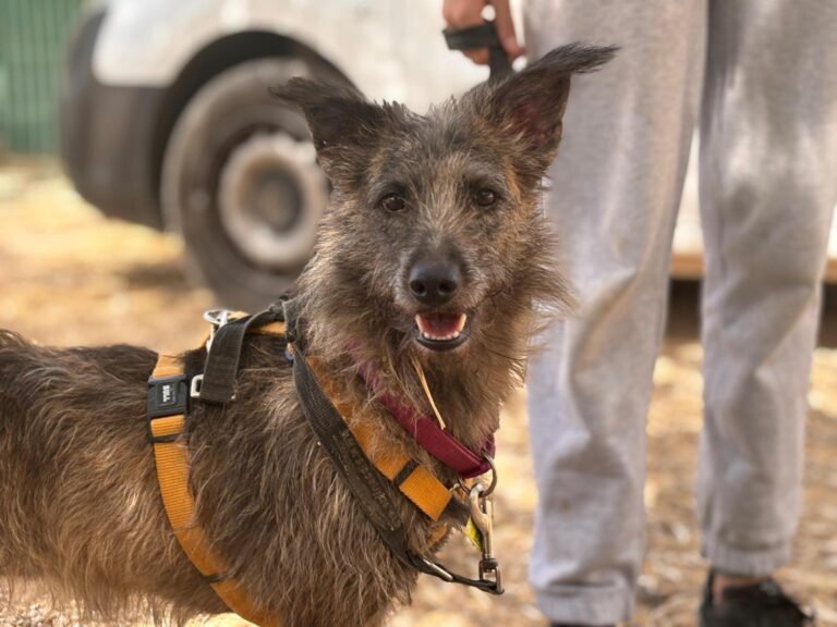 multimedia-foto95640-679-1