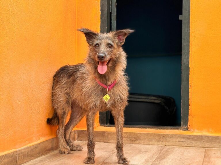 multimedia-foto95641-679-1