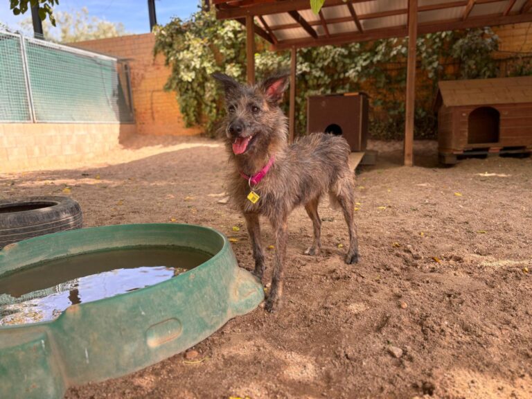 multimedia-foto95642-679-1