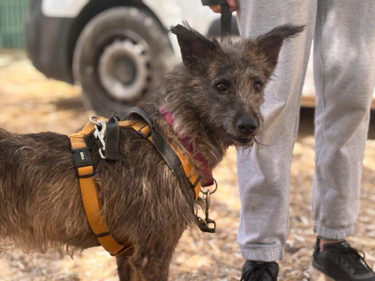 multimedia-foto95643-680-1