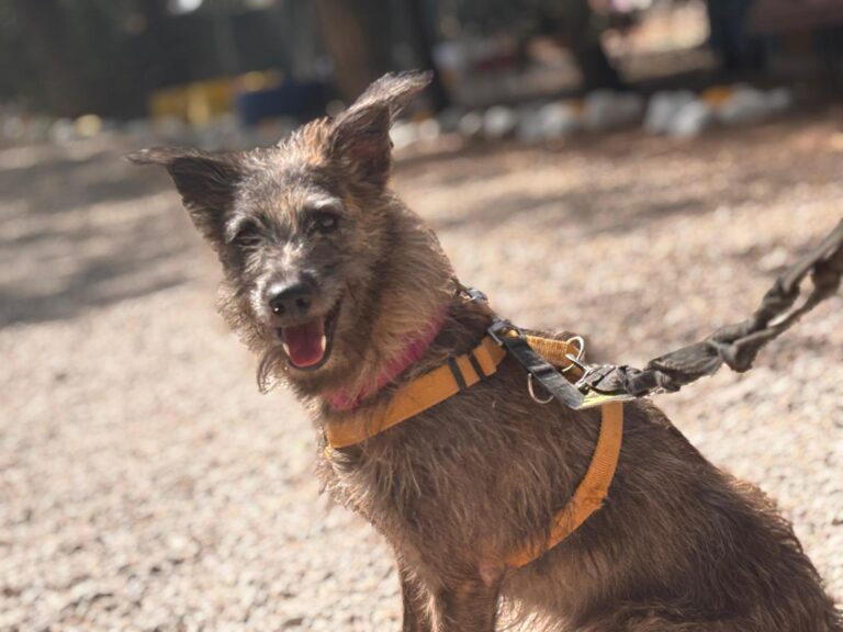 multimedia-foto95644-680-1