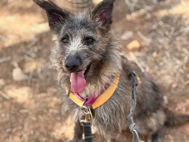 multimedia-foto95645-680-1