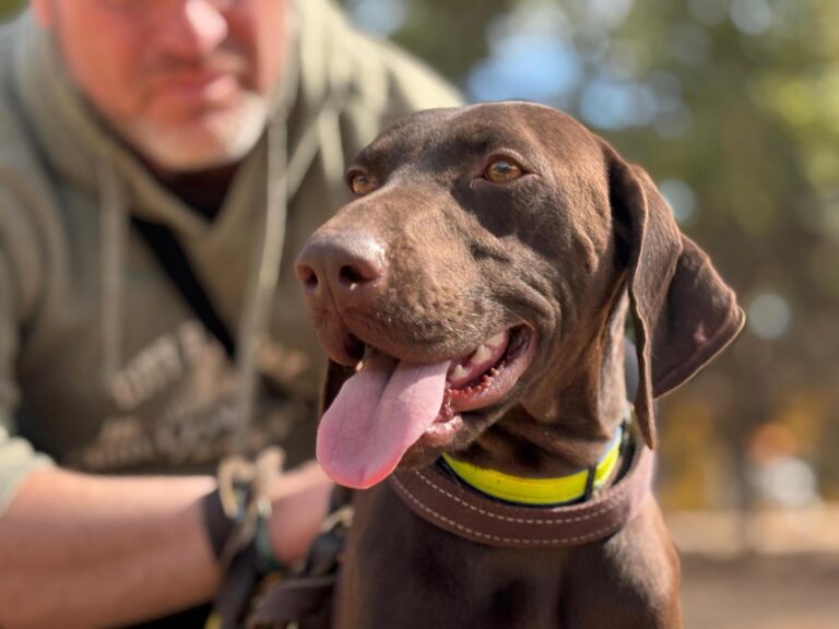 multimedia-foto95648-10-1