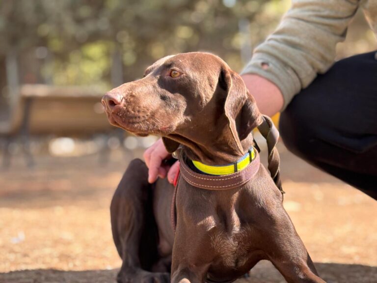 multimedia-foto95649-10-1