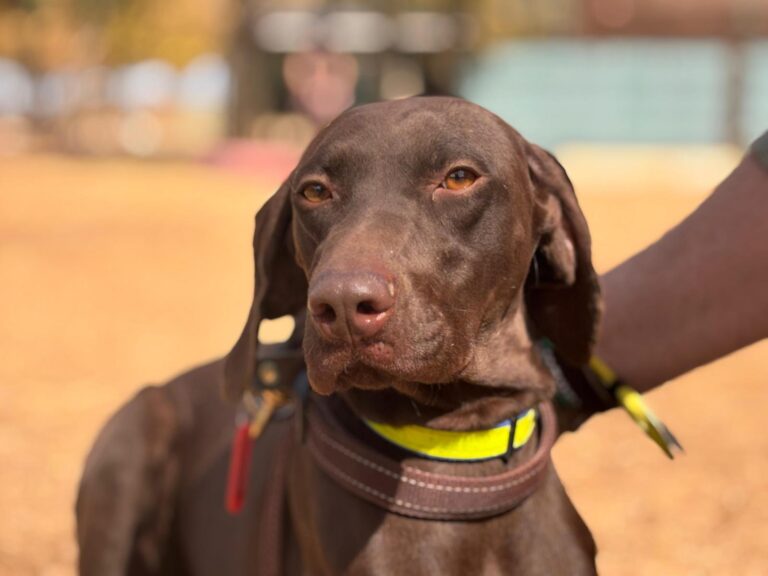 multimedia-foto95650-11-1