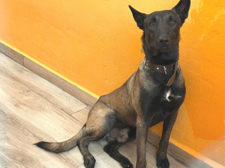 multimedia-foto95739-163-1