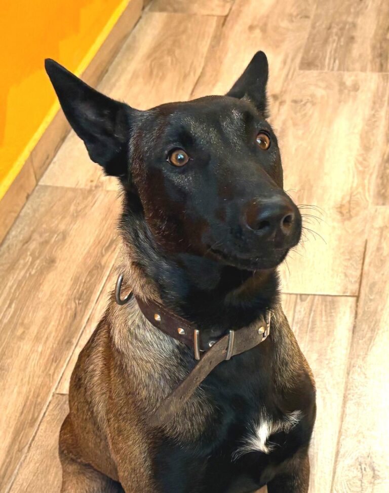 multimedia-foto95741-163-1