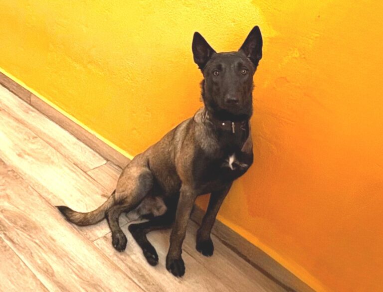 multimedia-foto95743-164-1