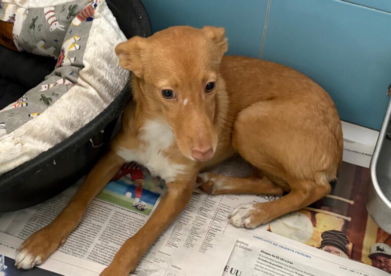 multimedia-foto95744-757-1