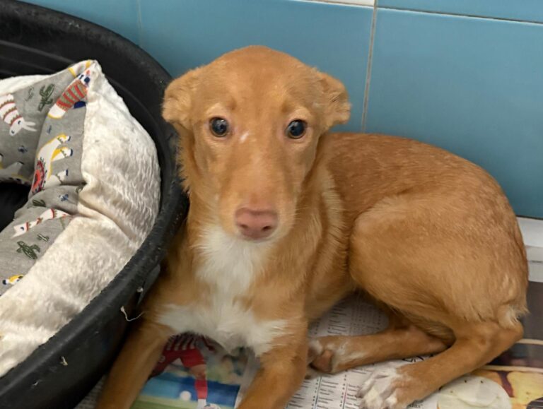 multimedia-foto95745-757-1