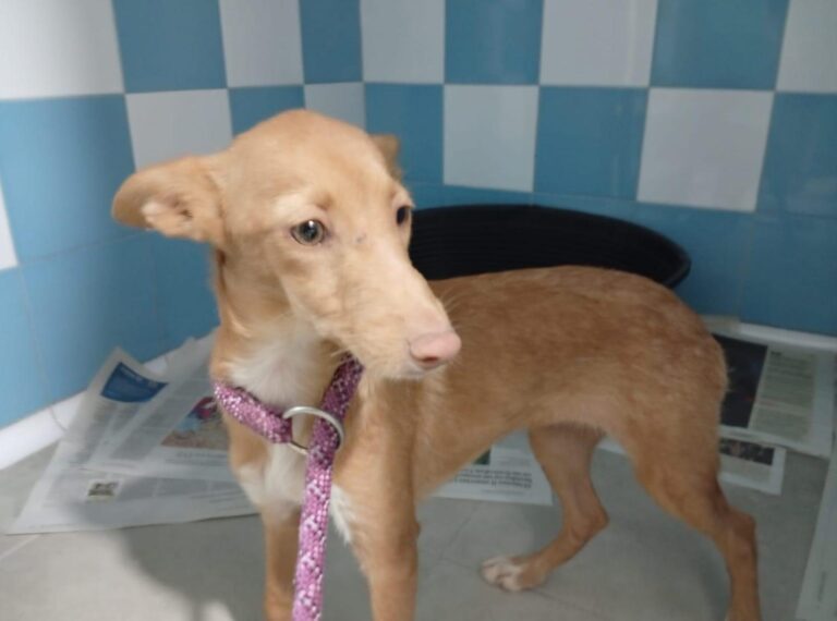 multimedia-foto95746-758-1