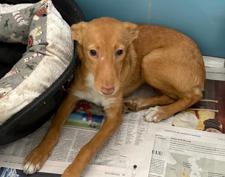 multimedia-foto95747-758-1