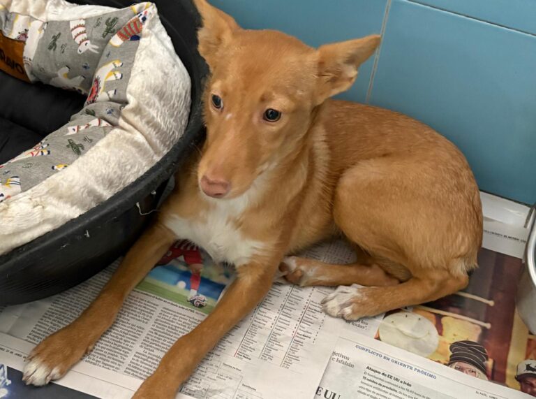 multimedia-foto95748-758-1