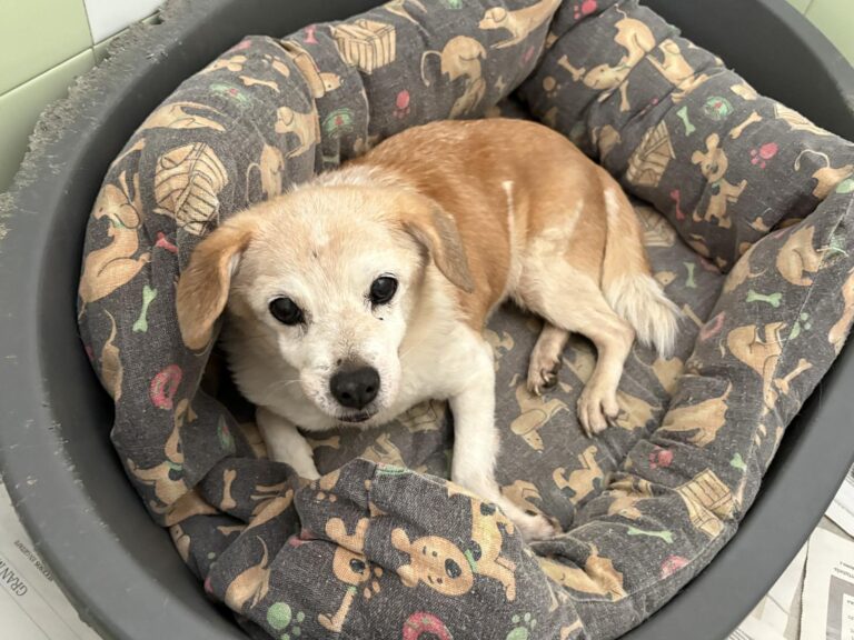 multimedia-foto95749-924-1