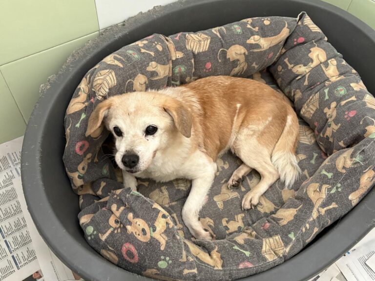 multimedia-foto95750-924-1