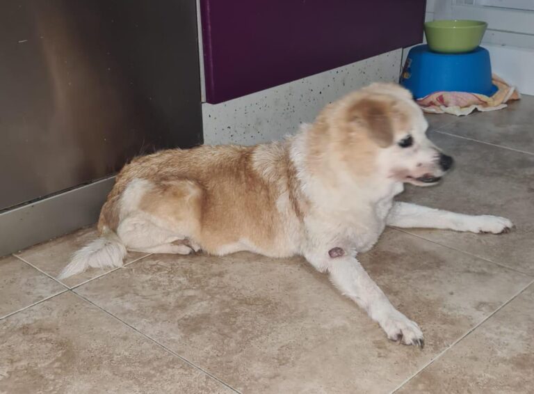 multimedia-foto95751-924-1