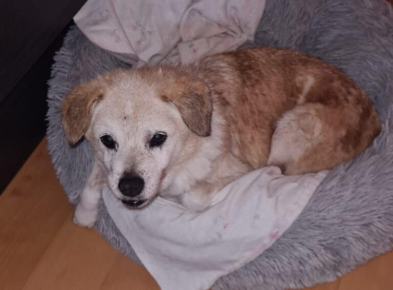 multimedia-foto95752-925-1