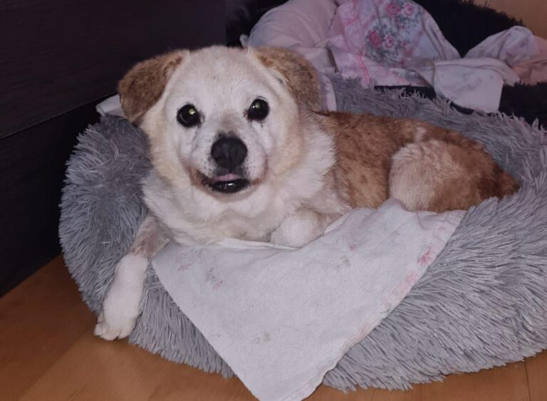 multimedia-foto95753-925-1