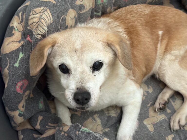 multimedia-foto95754-925-1