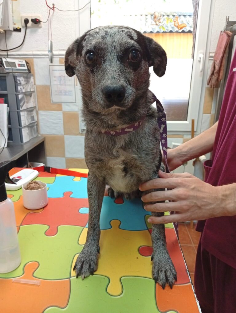 multimedia-foto95755-322-1