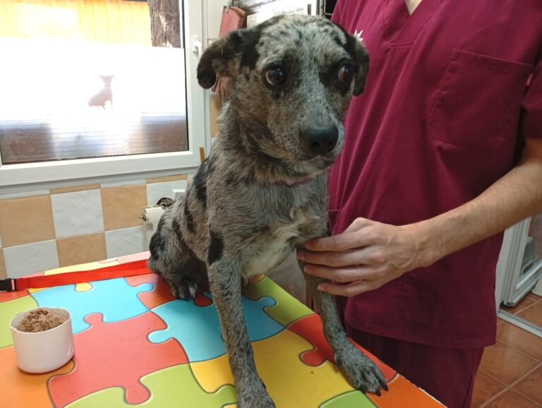 multimedia-foto95756-322-1