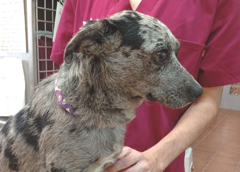 multimedia-foto95757-322-1