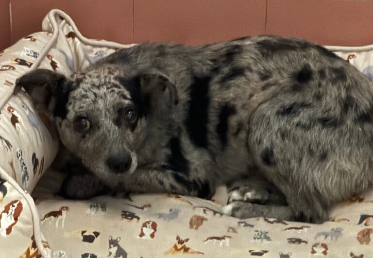 multimedia-foto95758-323-1