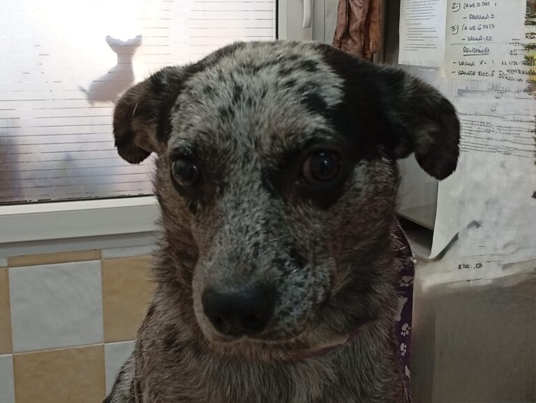 multimedia-foto95759-323-1