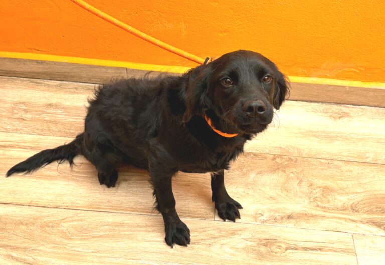 multimedia-foto95792-811-1