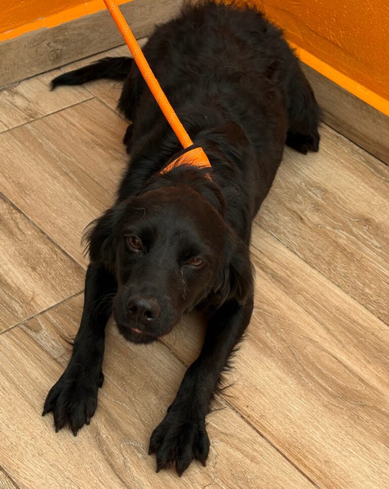 multimedia-foto95793-812-1