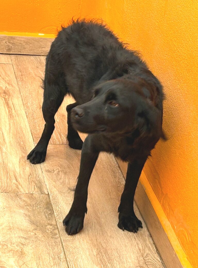 multimedia-foto95794-813-1