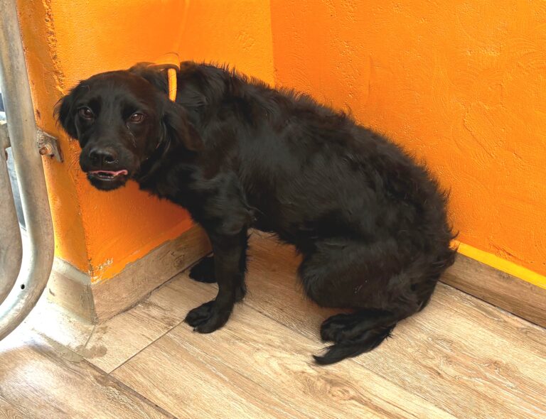 multimedia-foto95796-814-1