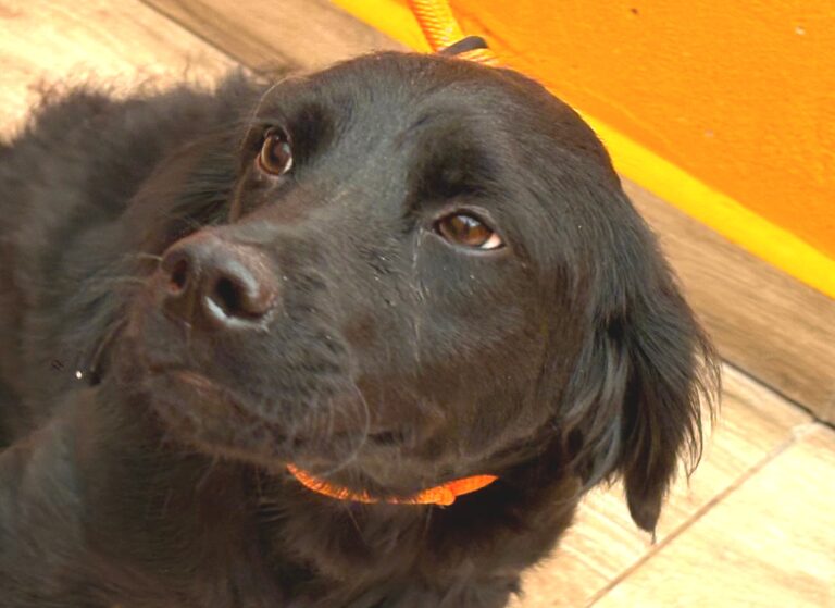 multimedia-foto95797-815-1