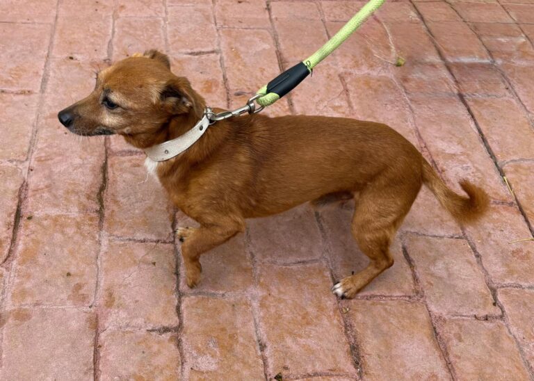 multimedia-foto95799-259-1