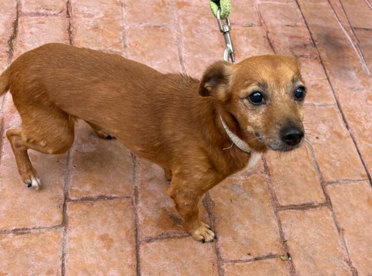 multimedia-foto95800-259-1